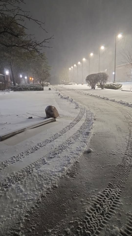 A plowed walkway under the lights during snowfall.